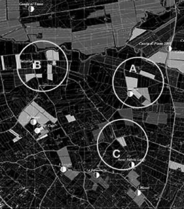AREA BOLGHERI DOC