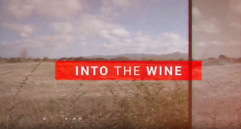 INTO THE WINE. The new project by Podere Sapaio